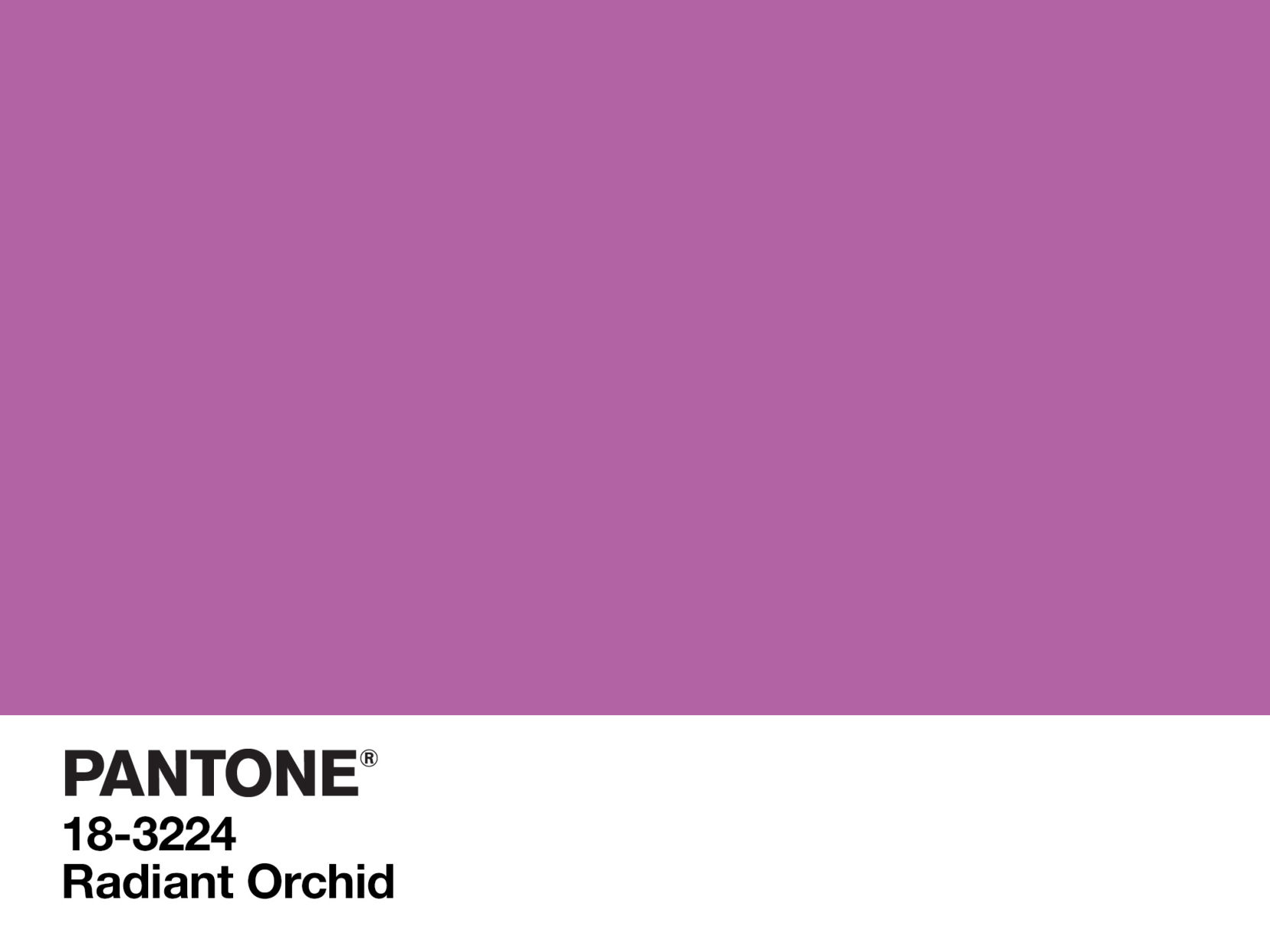 2014: Radiant Orchid